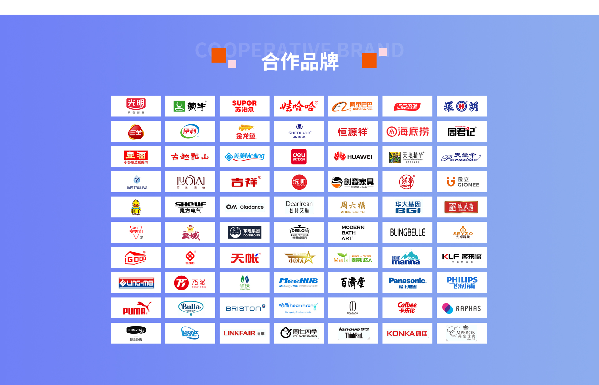 三文鱼电商京东代运营